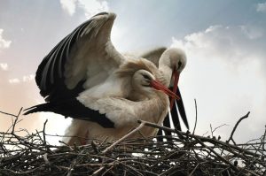 Jak być w ciąży i nie zwariować?